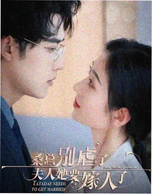 旧城档案 剧集高清封面